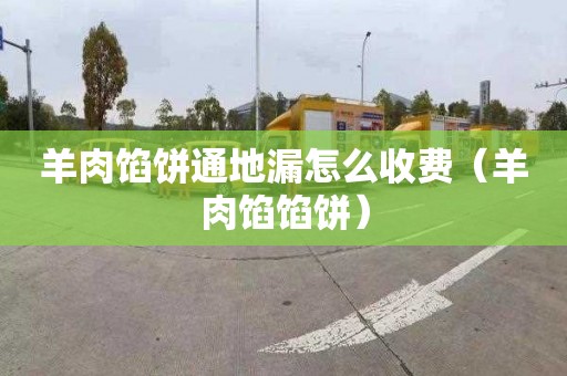 羊肉馅饼通地漏怎么收费（羊肉馅馅饼）