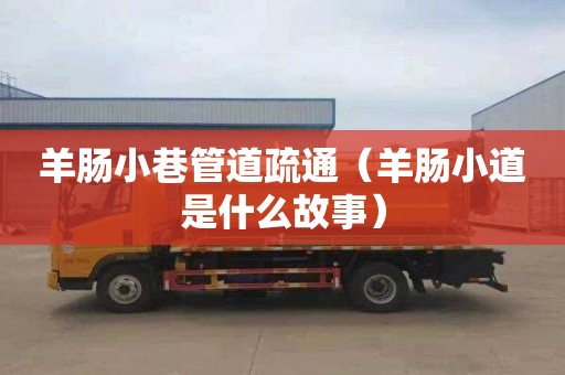羊肠小巷管道疏通（羊肠小道是什么故事）