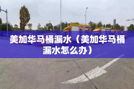 美加华马桶漏水（美加华马桶漏水怎么办）