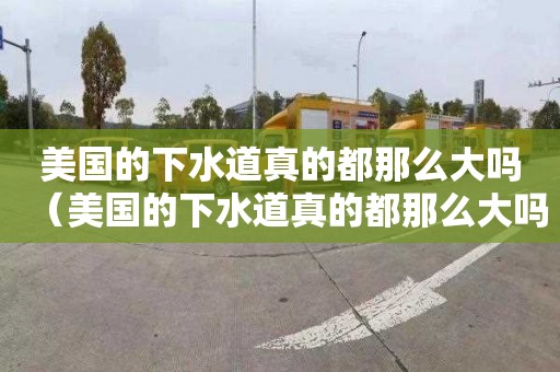 美国的下水道真的都那么大吗（美国的下水道真的都那么大吗视频）