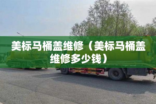 美标马桶盖维修（美标马桶盖维修多少钱）