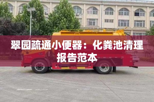 翠园疏通小便器：化粪池清理报告范本