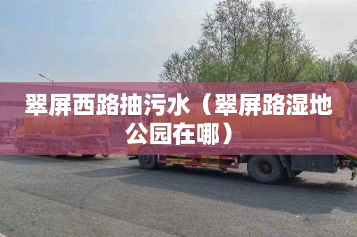 翠屏西路抽污水（翠屏路湿地公园在哪）