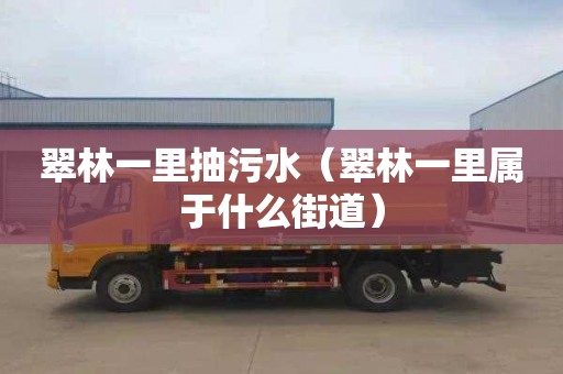 翠林一里抽污水（翠林一里属于什么街道）