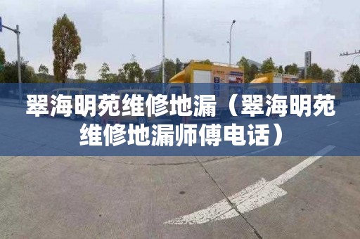 翠海明苑维修地漏（翠海明苑维修地漏师傅电话）