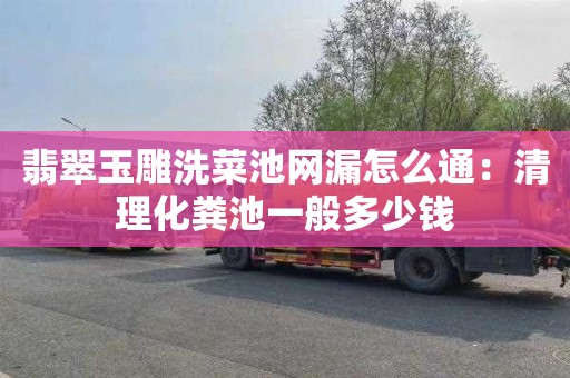 翡翠玉雕洗菜池网漏怎么通：清理化粪池一般多少钱