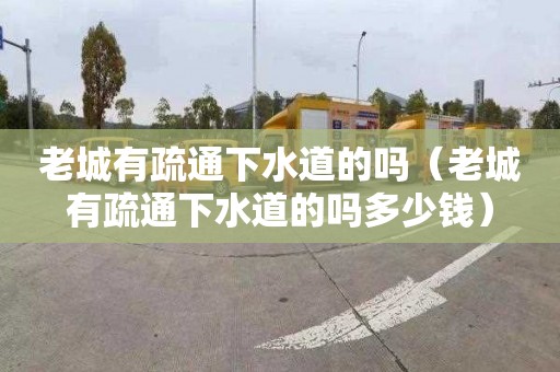 老城有疏通下水道的吗（老城有疏通下水道的吗多少钱）