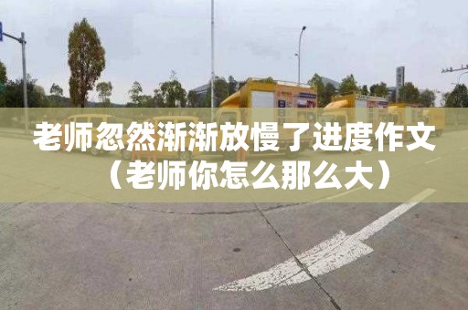 老师忽然渐渐放慢了进度作文（老师你怎么那么大）