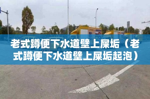 老式蹲便下水道壁上屎垢（老式蹲便下水道壁上屎垢起泡）