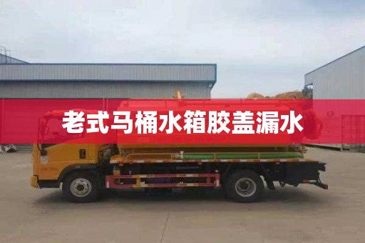 老式马桶水箱胶盖漏水