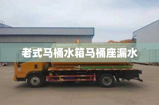 老式马桶水箱马桶座漏水