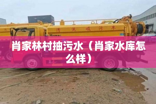 肖家林村抽污水（肖家水库怎么样）