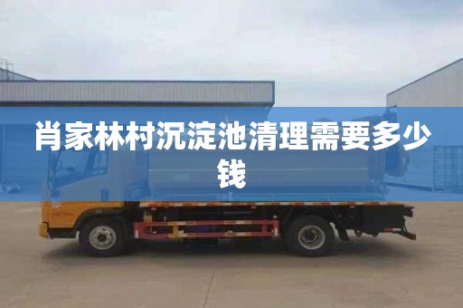 肖家林村沉淀池清理需要多少钱