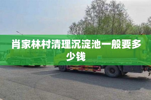 肖家林村清理沉淀池一般要多少钱