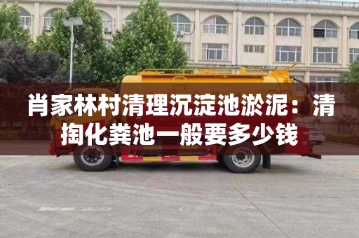 肖家林村清理沉淀池淤泥：清掏化粪池一般要多少钱