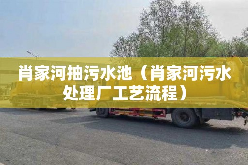 肖家河抽污水池（肖家河污水处理厂工艺流程）