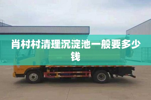 肖村村清理沉淀池一般要多少钱