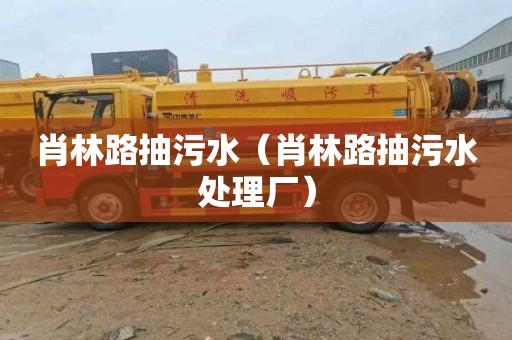 肖林路抽污水（肖林路抽污水处理厂）