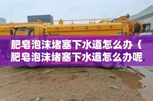 肥皂泡沫堵塞下水道怎么办（肥皂泡沫堵塞下水道怎么办呢）