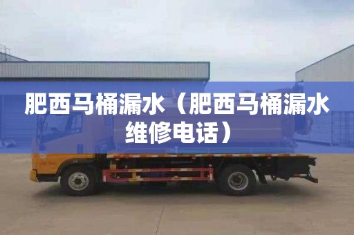 肥西马桶漏水（肥西马桶漏水维修电话）