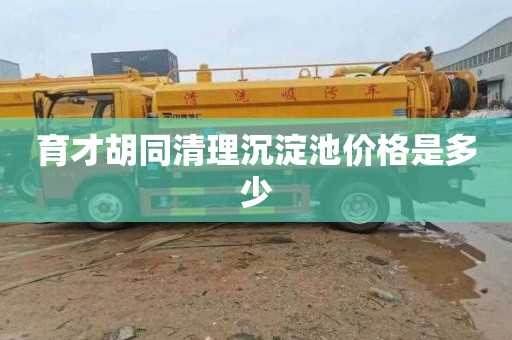 育才胡同清理沉淀池价格是多少