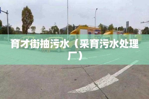 育才街抽污水（采育污水处理厂）