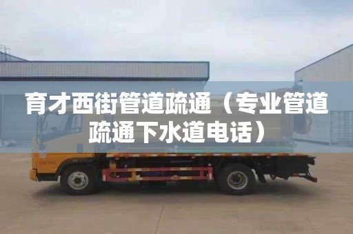 育才西街管道疏通（专业管道疏通下水道电话）
