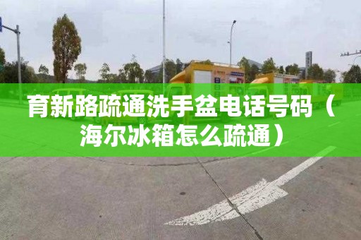 育新路疏通洗手盆电话号码（海尔冰箱怎么疏通）