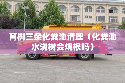 育树三条化粪池清理（化粪池水浇树会烧根吗）