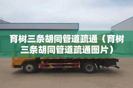育树三条胡同管道疏通（育树三条胡同管道疏通图片）