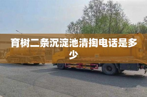 育树二条沉淀池清掏电话是多少