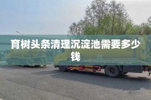 育树头条清理沉淀池需要多少钱