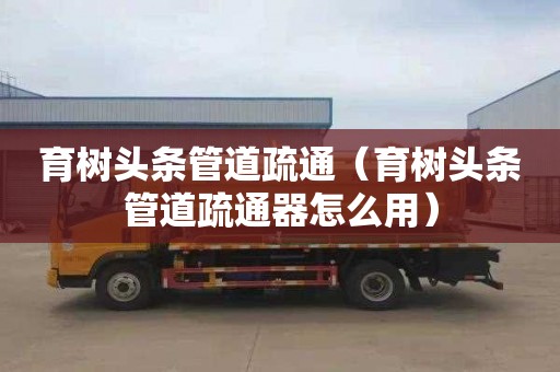 育树头条管道疏通（育树头条管道疏通器怎么用）