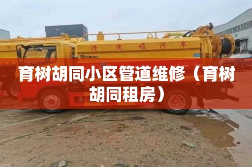 育树胡同小区管道维修（育树胡同租房）