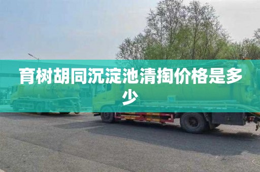 育树胡同沉淀池清掏价格是多少