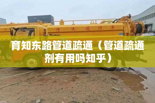 育知东路管道疏通（管道疏通剂有用吗知乎）