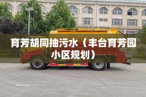 育芳胡同抽污水（丰台育芳园小区规划）