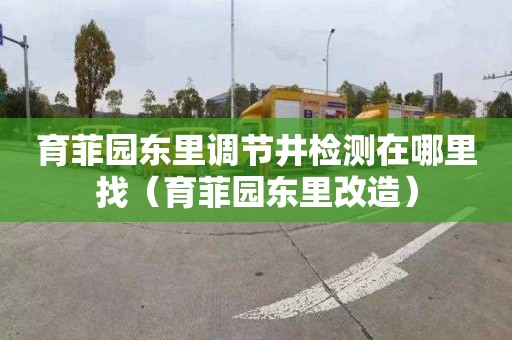 育菲园东里调节井检测在哪里找（育菲园东里改造）