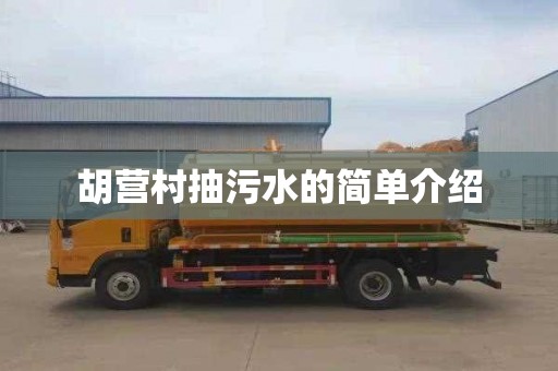 胡营村抽污水的简单介绍