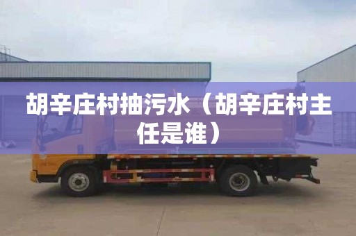 胡辛庄村抽污水（胡辛庄村主任是谁）