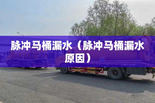 脉冲马桶漏水（脉冲马桶漏水原因）