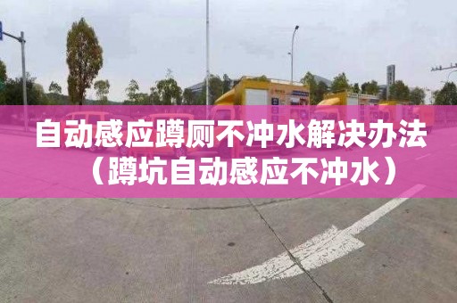自动感应蹲厕不冲水解决办法（蹲坑自动感应不冲水）