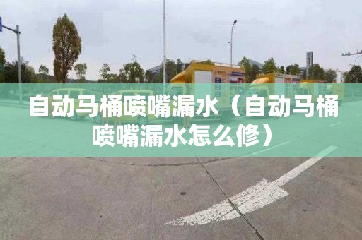 自动马桶喷嘴漏水（自动马桶喷嘴漏水怎么修）