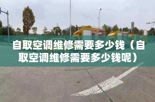 自取空调维修需要多少钱（自取空调维修需要多少钱呢）