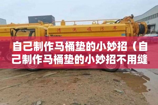 自己制作马桶垫的小妙招（自己制作马桶垫的小妙招不用缝纫机）