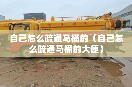 自己怎么疏通马桶的（自己怎么疏通马桶的大便）
