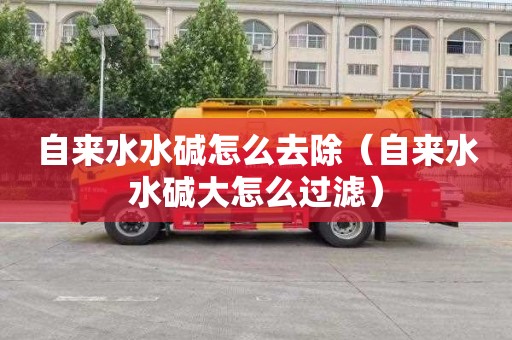 自来水水碱怎么去除（自来水水碱大怎么过滤）