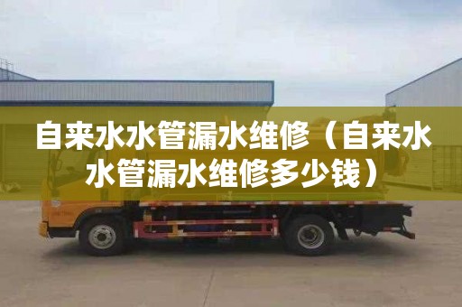 自来水水管漏水维修（自来水水管漏水维修多少钱）