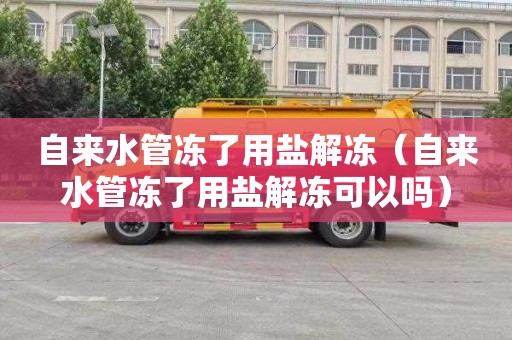 自来水管冻了用盐解冻（自来水管冻了用盐解冻可以吗）