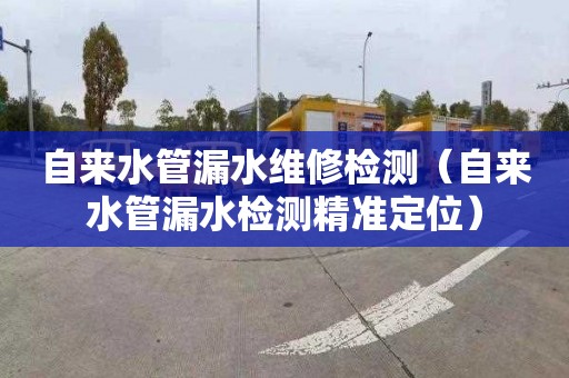 自来水管漏水维修检测（自来水管漏水检测精准定位）